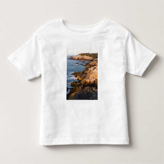 Camiseta Infantil A costa rochosa de Isle au Haut no Maine (Frente)