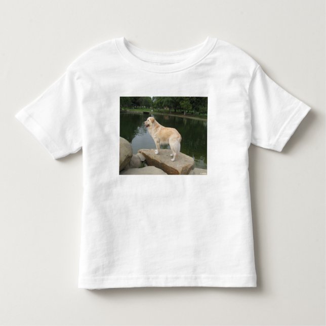 Camiseta Infantil A Dog At A Pond (Frente)