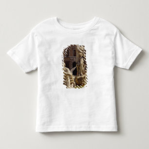 Camiseta Infantil A fonte de Moro