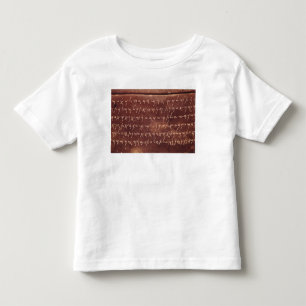 Camiseta Infantil A inscrição do sarcófago de