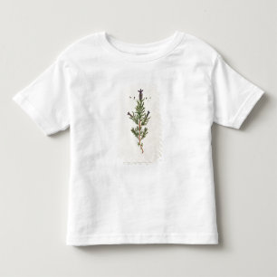 Camiseta Infantil A lavanda francesa, chapeia 241 'de um Herbal