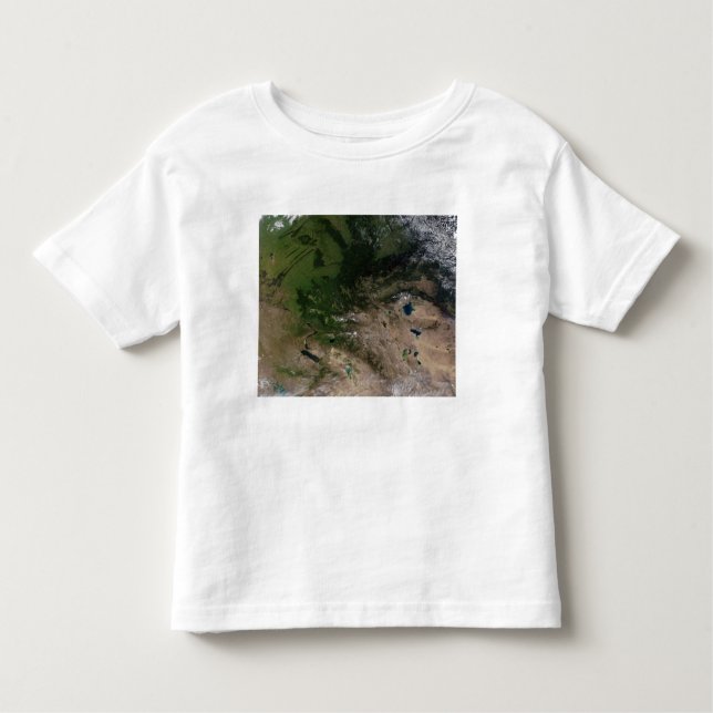 Camiseta Infantil A mudança de vegetação (Frente)