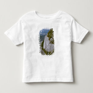 Camiseta Infantil A opinião "principal" de Arial em Squamish