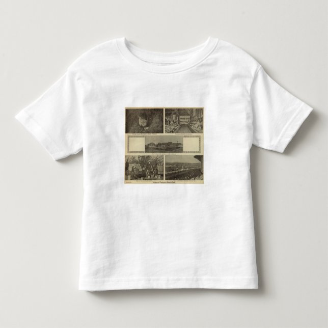Camiseta Infantil A parcimônia versátil de Washington (Frente)