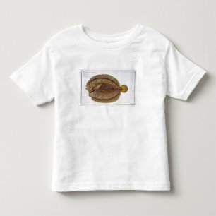 Camiseta Infantil A placa XLVI da solha de Argus (Pleuronectes