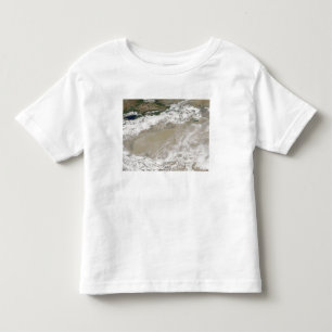 Camiseta Infantil A poeira e as nuvens pairaram sobre o DES de