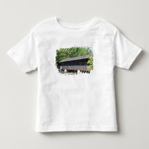 Camiseta Infantil A Ponte Cobierta Stone Mountain em Stone