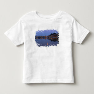 Camiseta Infantil A ponte Pont St. Benezet em Avinhão no