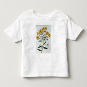 Camiseta Infantil A prímula de noite, chapeia 73 'da coleção Prec