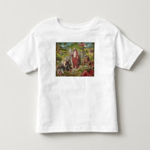 Camiseta Infantil A ressurreição