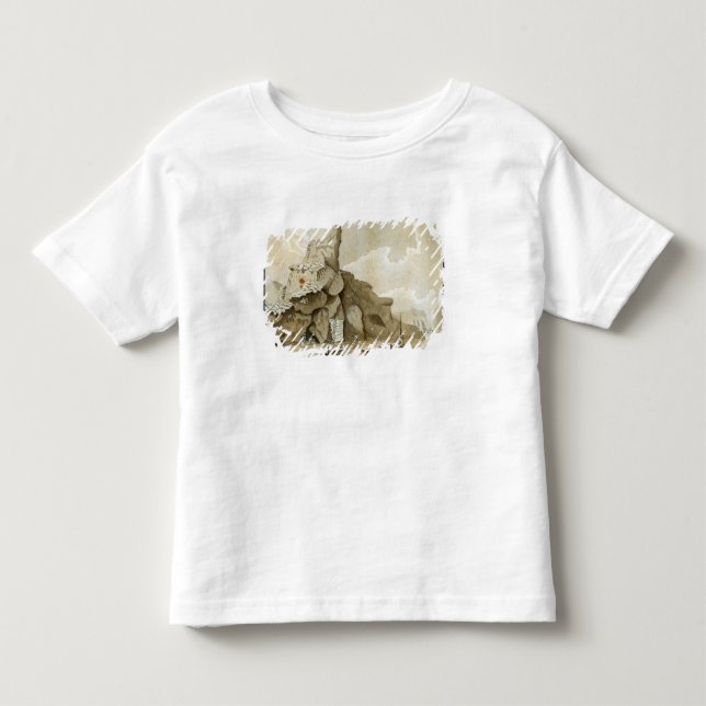 Camiseta Infantil A rocha de Quang-Yin (Frente)