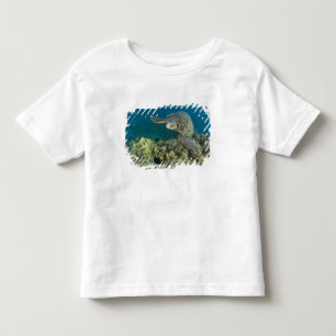 Camiseta Infantil A Tartaruga Marinha Verde, (Chelonia mydas), é a 2