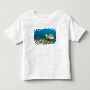Camiseta Infantil A Tartaruga Marinha Verde, (Chelonia mydas), é a 3