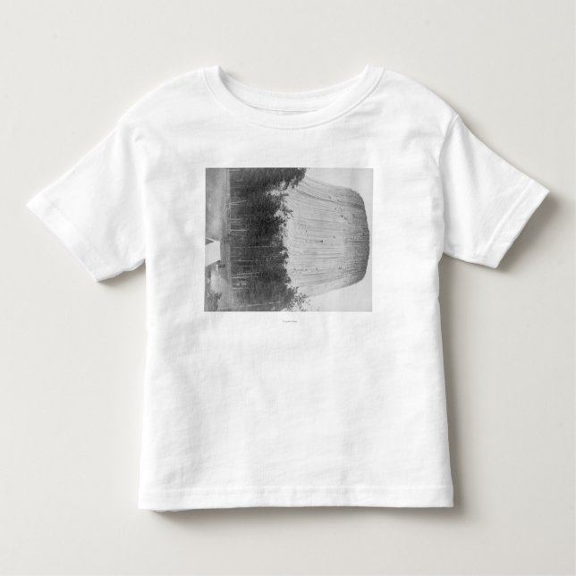 Camiseta Infantil A torre do diabo com as 4 pessoas no primeiro (Frente)