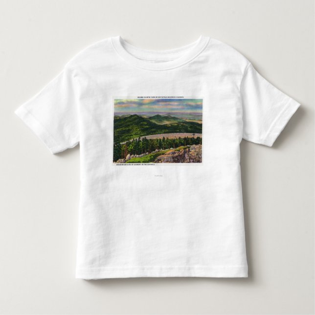 Camiseta Infantil A vista do ò gancho de cabelo gira sobre Hwy (Frente)