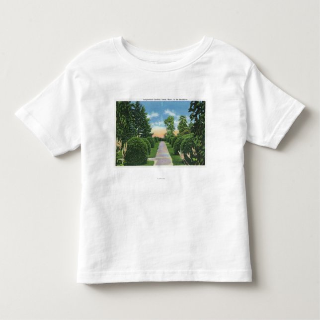 Camiseta Infantil A vista do Tanglewood jardina # 2 (Frente)