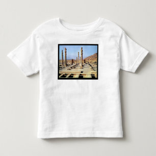 Camiseta Infantil A vista geral do Apadana fundou c.518 BC