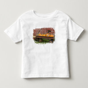 Camiseta Infantil Abóboras em velha carroça