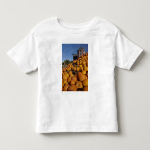 Camiseta Infantil Abóboras na fazenda no outono perto de Concord,