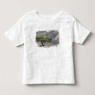 Camiseta Infantil Acácia Espinho de Guarda-Chuva, Acacia tortilis, e
