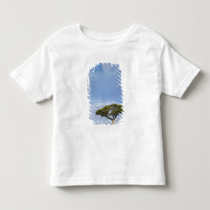 Camiseta Infantil Acácia Espinho de Umbrella, Acacia tortilis, e