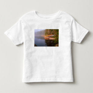 Camiseta Infantil Acampamento de Canoa Nebulosa, Lago Kawnipi,