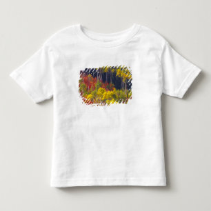 Camiseta Infantil Acessórios coloridos em Logan Canyon Utah no