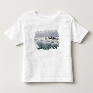 Camiseta Infantil Adelie Penguin Pygoscelis adeliae),