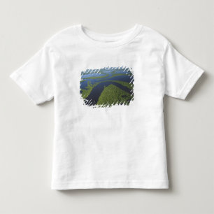 Camiseta Infantil Aérea do Arquipélago de Anavilhanas, Alagado