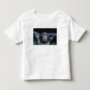 Camiseta Infantil África, África Oriental, Tanzânia, Parque Nacional