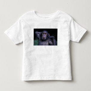 Camiseta Infantil África, África Oriental, Tanzânia, Parque Nacional