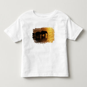 Camiseta Infantil África, Botsuana, Delta do Okavango. Africano