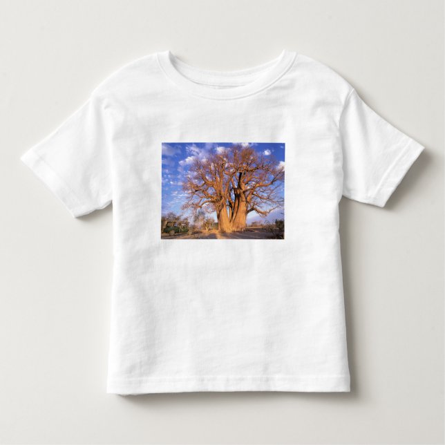 Camiseta Infantil África, Botswana, Okavango Delta. Baobás (Frente)