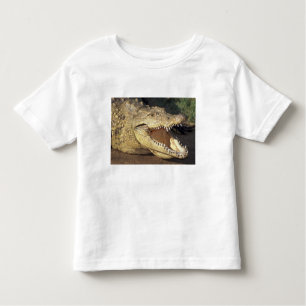 Camiseta Infantil África do Sul, crocodilo do Nilo