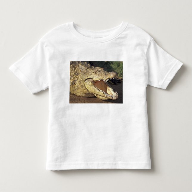 Camiseta Infantil África do Sul, crocodilo do Nilo (Frente)