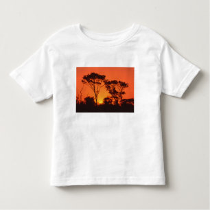Camiseta Infantil África do Sul. O pôr do sol africano.