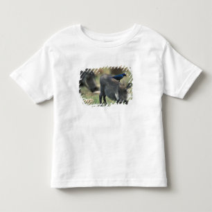 Camiseta Infantil África do Sul, Pilanesburg GR, Facão