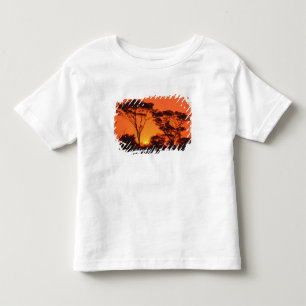 Camiseta Infantil África do Sul. Pôr do sol africano.