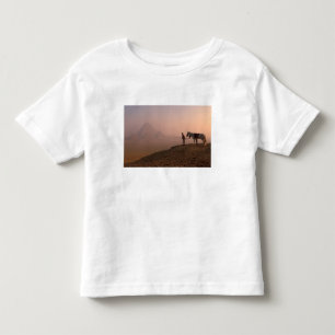 Camiseta Infantil África, Egito, Cairo, Gizé, pirâmides de Gizé em