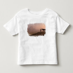 Camiseta Infantil África, Egito, Cairo, Gizé, pirâmides de Gizé em