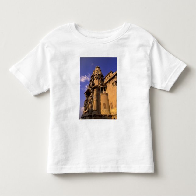 Camiseta Infantil África, Egito, Cairo, Heliópolis. Barão (Frente)