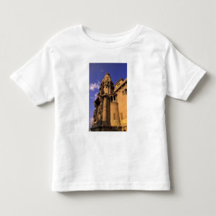 Camiseta Infantil África, Egito, Cairo, Heliopolis. Barão's