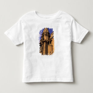 Camiseta Infantil África, Egito, Cairo, Heliopolis. Barão's