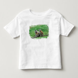 Camiseta Infantil África, Madagascar, Antananarivo, Tsimbazaza