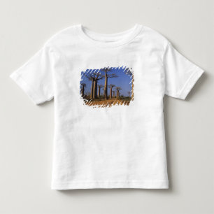 Camiseta Infantil África, Madagáscar, Morondava, Avenida Baobab.