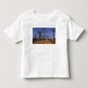 Camiseta Infantil África, Madagáscar, Morondava, Avenida Baobab.