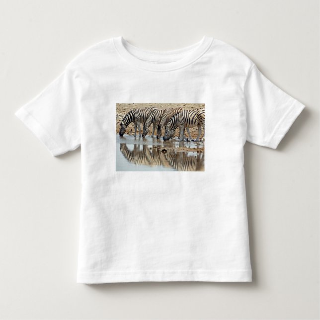 Camiseta Infantil África, Namíbia, Etosha NP. Zebra de Burchell (Frente)