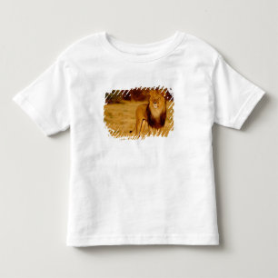 Camiseta Infantil África, Namíbia, Okonjima. Leão macho solitário