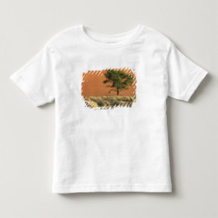 Camiseta Infantil África, Namíbia, Parque Nacional do Namibe, Sossus