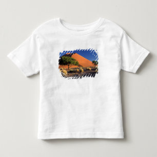 Camiseta Infantil África, Namíbia, Parque Namibe-Naukluft, Sossosvle